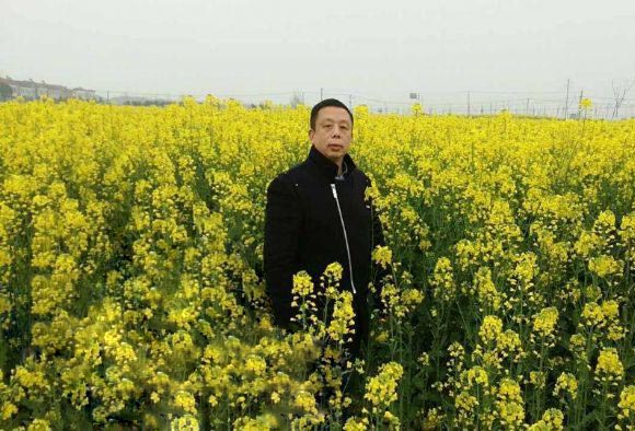 �����Ⱥ���д���֮ʮ�߷������������θ��ẫ����