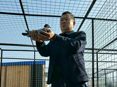 �ù����Ӯ�Һ���������������