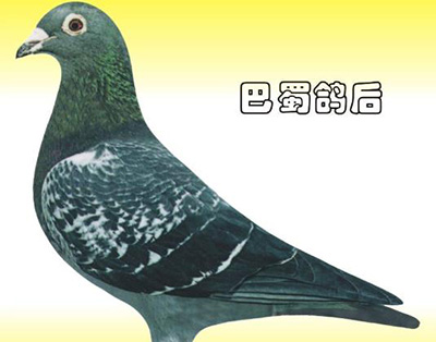 ÿ��һ�룺��Խ��ǧ����ġ�������