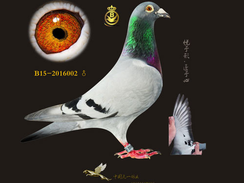 ÿ��һ�룺�й���һ�½����롰����¼��