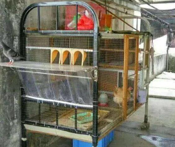 ���ܹ��ɽ�ָ�㣺�ߵʹ�����ɸ���