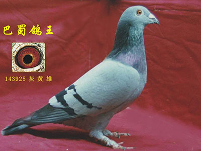 ÿ��һ�룺��Խ2500����ġ����������