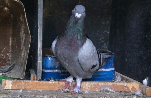 һ���ռ��� һ���õ���