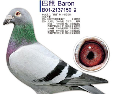 ÿ��һ�룺����ϵ����150