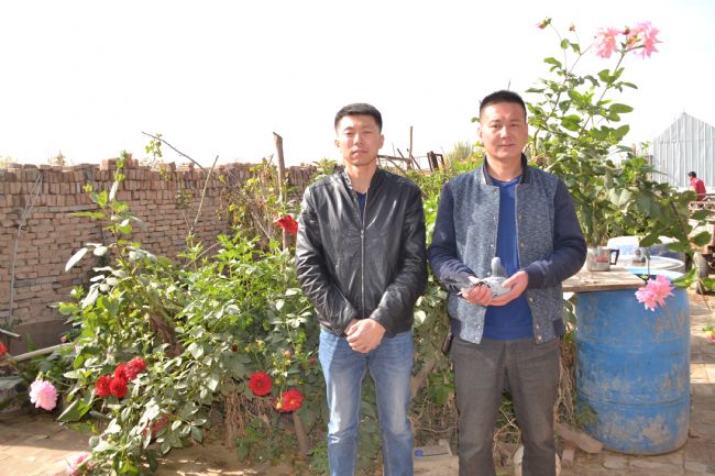 ���������ܹھ�ר�ã�С����ɳ���ھ�