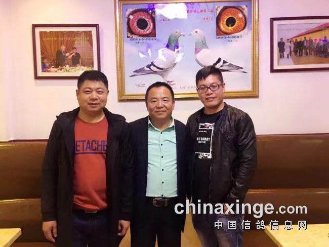 ��ͬ�����¹󡰽���ָ������