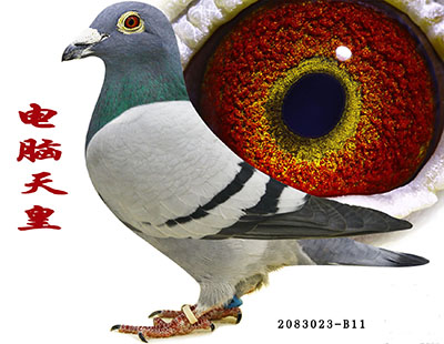 ÿ��һ�룺�����׸�������