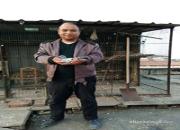 �ȸ�8Сʱϲ�����ھ���   Ѫͳ�鳲�ʸ� 