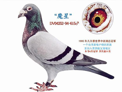 ÿ��һ�룺�Ի��ָ�ħ�Ǻ�