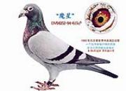 ÿ��һ�룺�Ի��ָ�ħ�Ǻ�