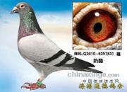 ף�أ�������Դͨ�¸�ҵ��ñ������Ź������˫�ھ��ĺóɼ�