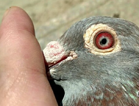 ��ҿ������Ƿ�������