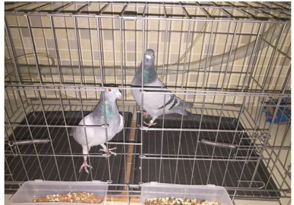 ����ڶ���ṫ��94����λ