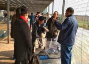 μ��һ���� Я����̽�ӻ������빫�� 