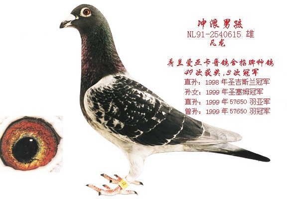 ÿ��һ�룺��֮���ӡ������к���