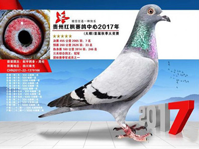 ����ھ�������������ھ�   һ·��Ѫ����һ������