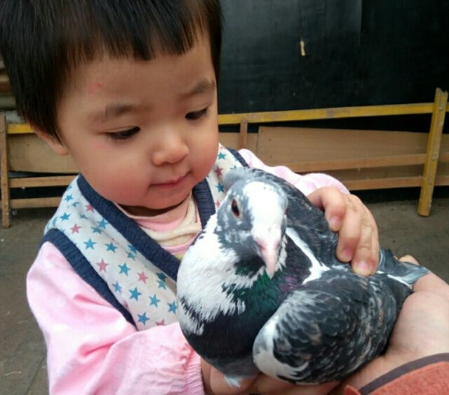 ���Ƕ����ҵ�С��ʹ