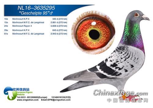 ���벻Ҫ����ʱ��ɱ�