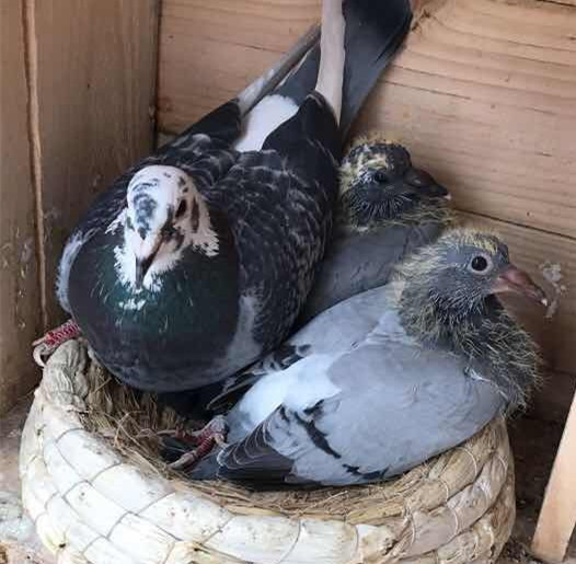 �����һ�� ����˸��Ѱ���