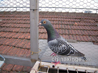 ÿ��һ�룺��������ʡ��������