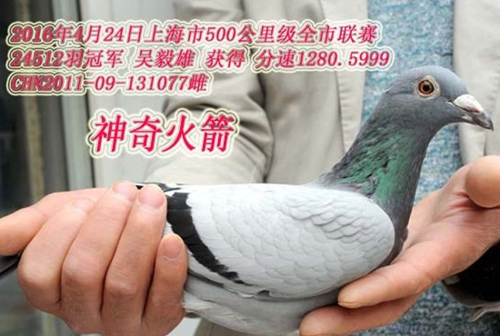 ÿ��һ�룺�����ھ�������