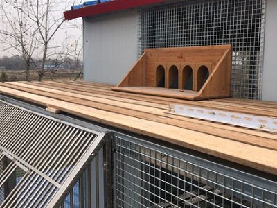 ��ë̫�౻�������� ��Ҹ��㽨��