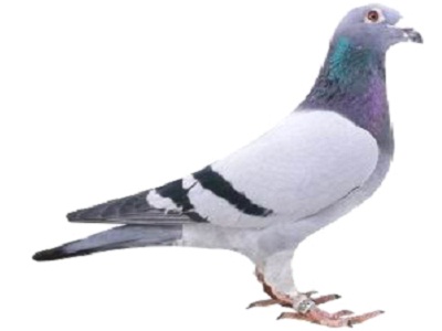 ÿ��һ�룺���ǿ��ճ����ھ��롰�漣�š�