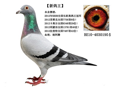 ÿ��һ�룺������ھ����¸�����