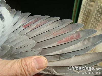 ��¼�ҵ����� ���ϻ������