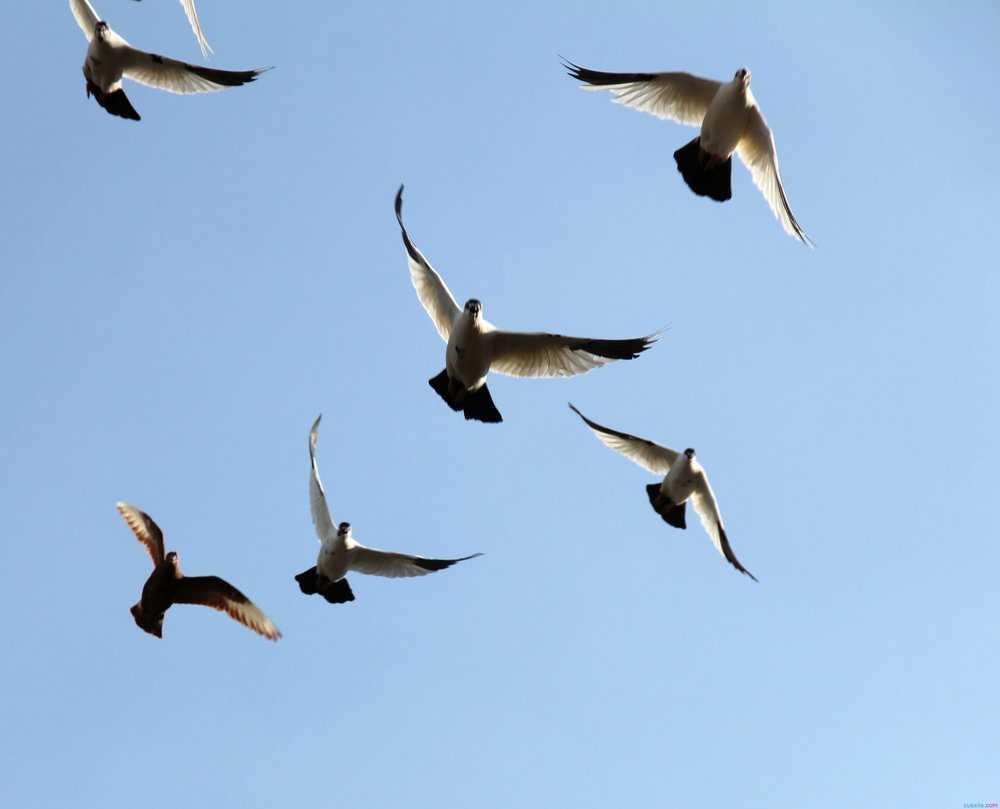 �����꣺���ʿ�����ͳ�����