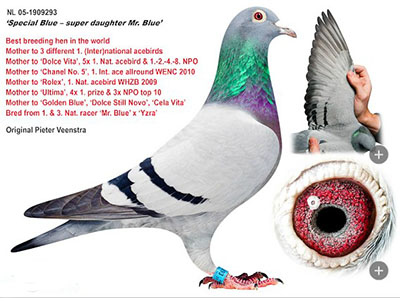 ÿ��һ�룺ȫ���һ����ĸ������ҡ�