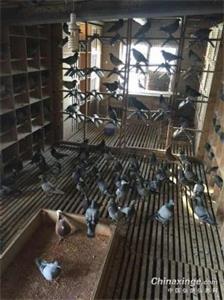 һ��Ϊ�˸��� ����ƪ