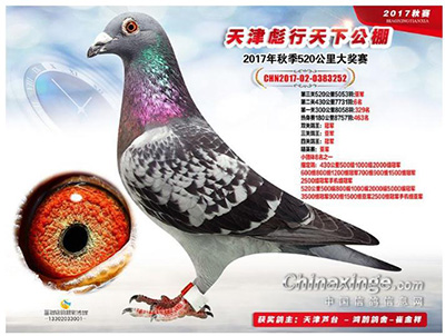 ������Ҵ޽��� ����8��ԽսԽ��