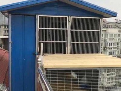 ������� ����������