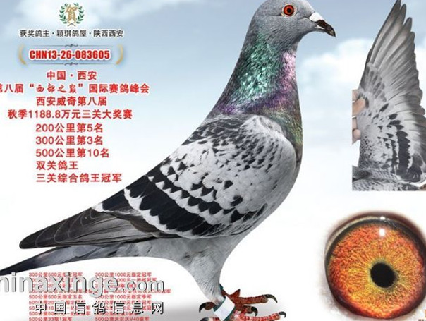 ÿ��һ�룺�����������س�������