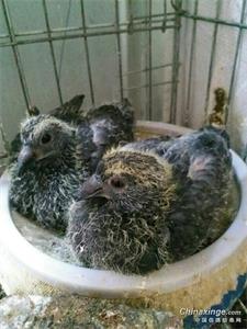 ����ͬ�� Χ��С�ڸ�