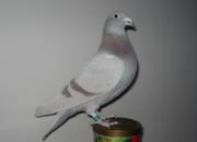 һʱ��� С���ֳ�����Զ��ʹ
