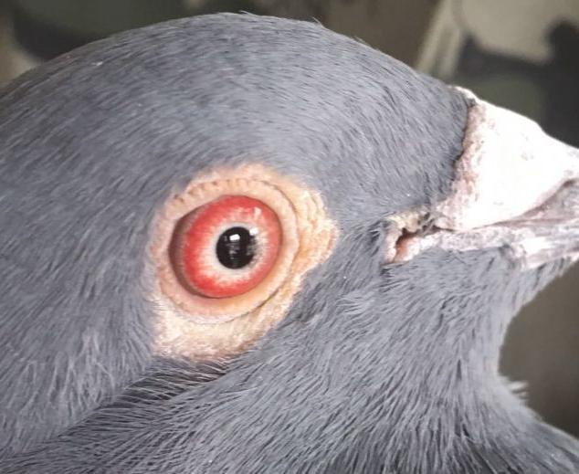 ר�ã��������蹫���׽�ھ�������