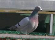 �ٿƳ�֪ʶ��������������ؾ�