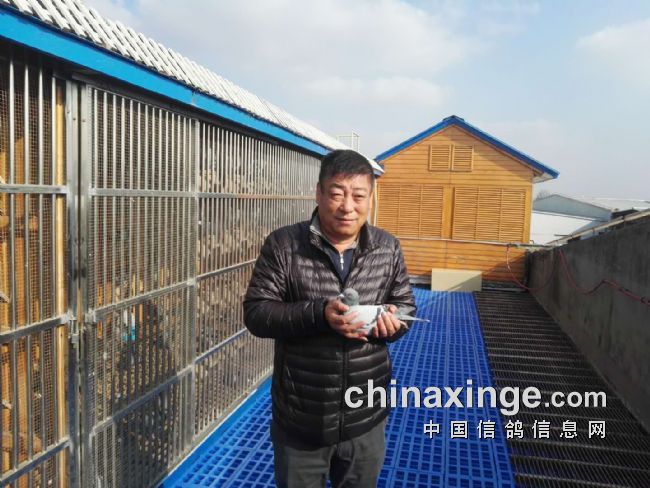 ��ƽ��8����س������ٶ�ڣ�