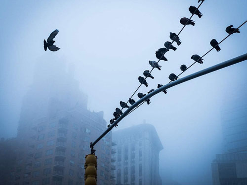 үĲۡΪʲôǵĸӶô