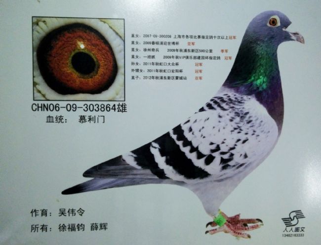 �Ϻ������񻰣���Ҿ����������Ի�