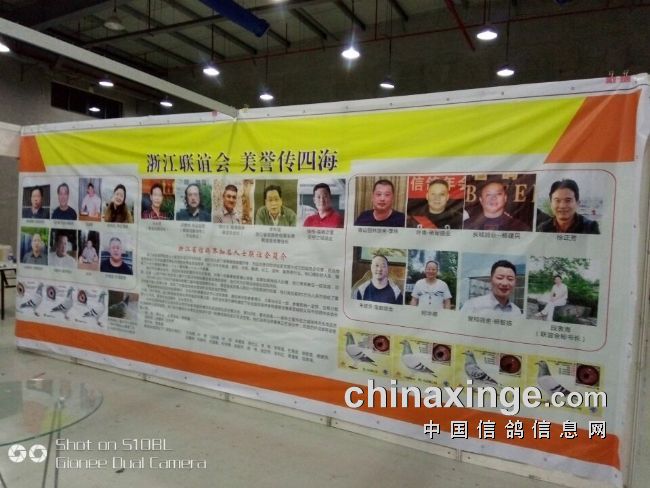 杭州鸽展今天开幕 市鸽会盛妆欢迎鸽界朋友
