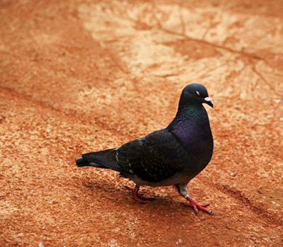 �Ÿ���͡�û�ˡ� ֻ������