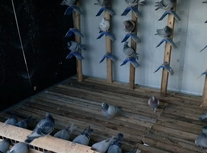 ���Ὠ���� ���ӳ���վ