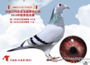 �ø벻���� ��ʵ�ڳ���