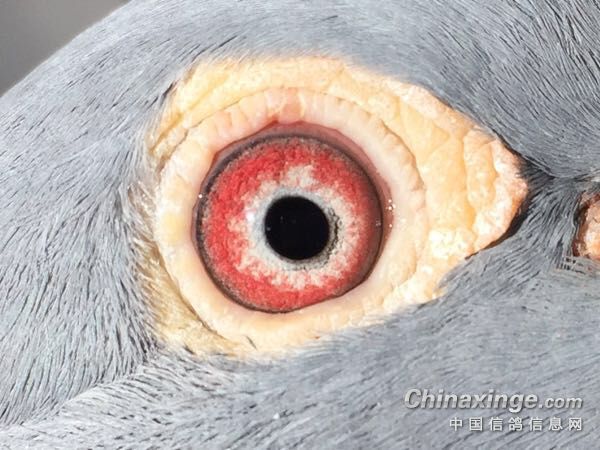 ���ۿ�ר����˵��˵��