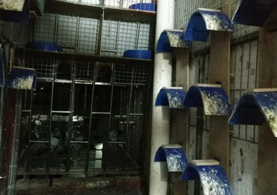 ��̨��������ô�����666