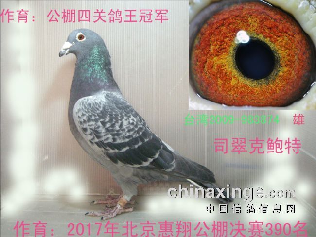 ��ɽ������һ���⣡��ͼ��