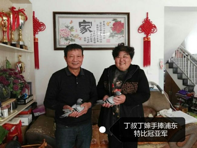 ������Ϊ �������֡���С���Ϻ��ֶ��رȹ��Ǿ�������